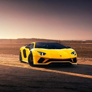 Meet your Posher, Pippo